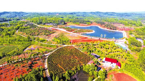 多產(chǎn)融合興旅游 城鄉(xiāng)一體繪新篇——大洪山風(fēng)景名勝區(qū)打造城鄉(xiāng)融合發(fā)展先行區(qū)紀(jì)實(shí)