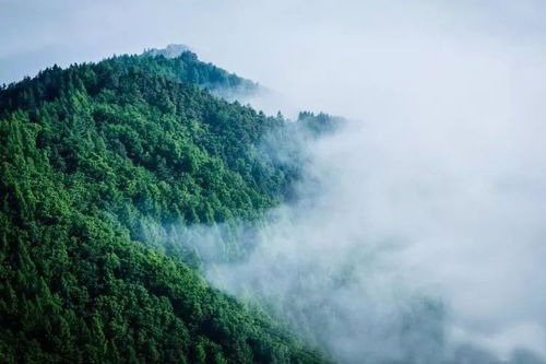 行行攝攝日光山 在圖們小城的靜謐時(shí)光中尋訪山間仙境