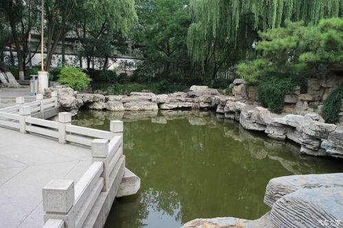 濟寧CS75銀自精遺珠游覽 天下第一泉趵突泉景區(qū)的靜謐之美與景區(qū)管理的思辨